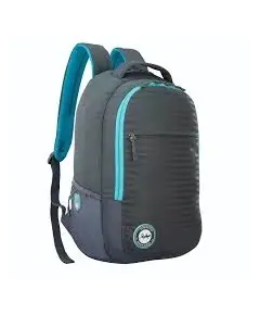 Çante campus 01 laptop backpack grey"