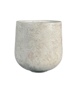 Vazo M RA81199-2