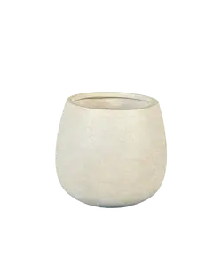 Vazo M RA81385-2