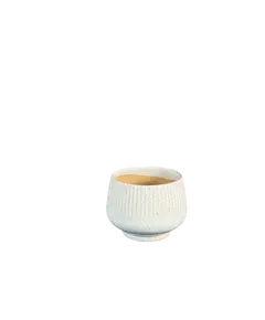 Vazo S HGHA2024010-3