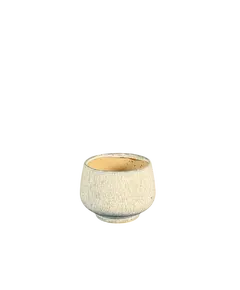 Vazo S HGHA2024009-3