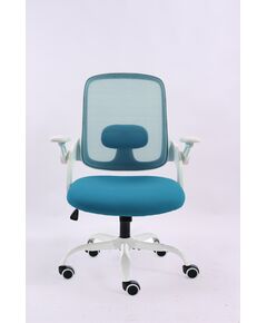 Karrigë Zyre Gosmart 6102,Kaltërt