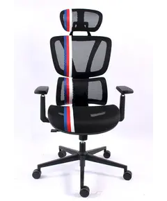Karrigë Zyre Gosmart 6010,Hiri