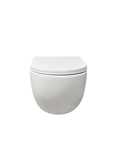 Guacë WC muri 009