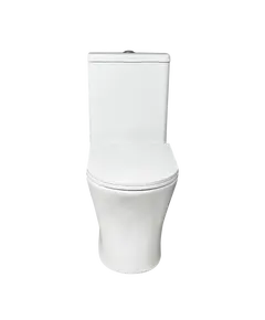 Guacë WC muri 020