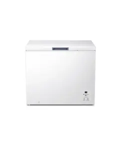 Friz horizontal Hisense FC321D4AWLE