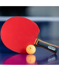 Rakete pingpongu Deli  1/20 F2310