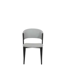 Karrige B2666, silver loft-18