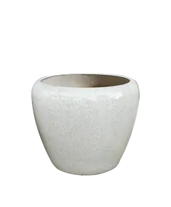 Vazo S HGHB2025050-3