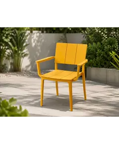 Karrige kopshti 1858, verdhe 9503
