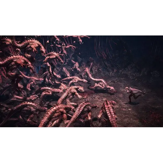 88, 12 image