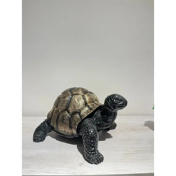 C4103 - Turtle