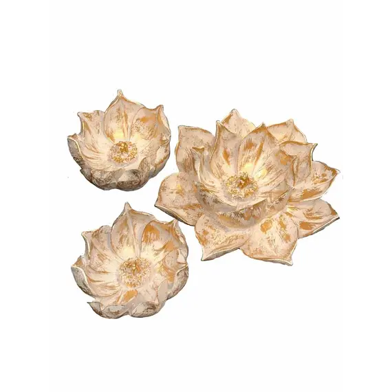 C4180 - Lovely lotus çiçek "