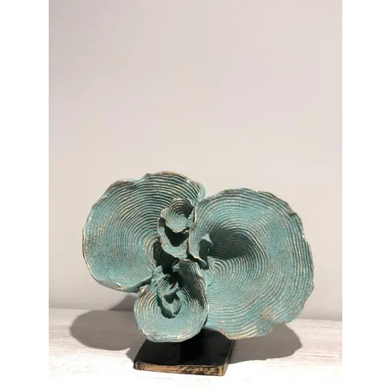 C4080 - Shell trinket, 2 image