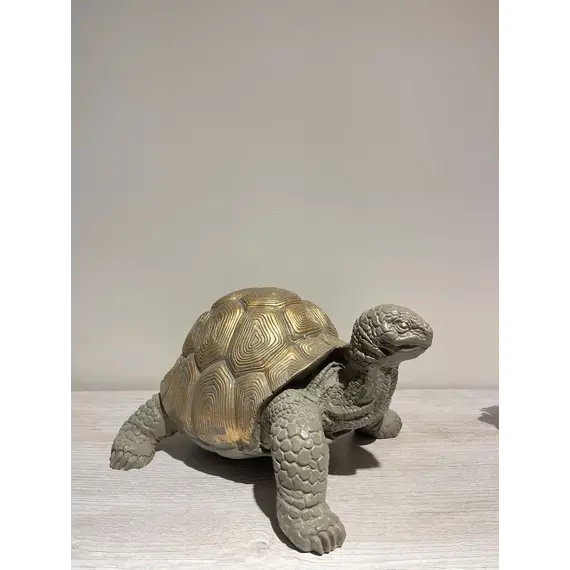 C4103 - Turtle, 2 image