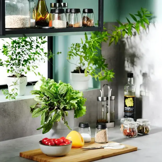 IKEA 365+ IHÄRDIG Kavanoz për erëza 4 copë, 15cl, 5 image