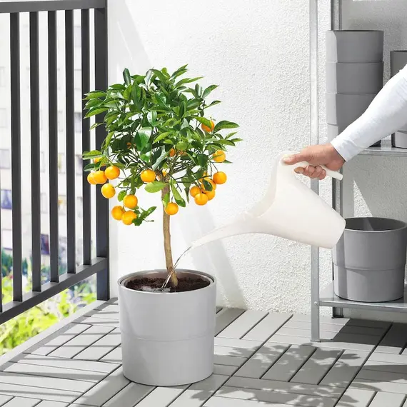 IKEA PS Kovë për ujitje 12 l, 3 image