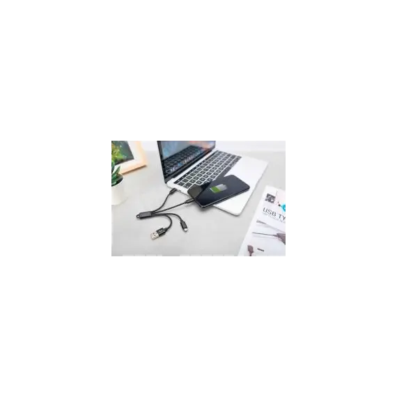 Kabell Telefoni Digitus Usb > Lehtening, Microsd, Usbc 0, 15M, 3 image