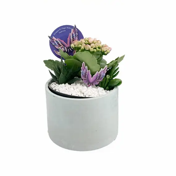 LuleSeculenta14