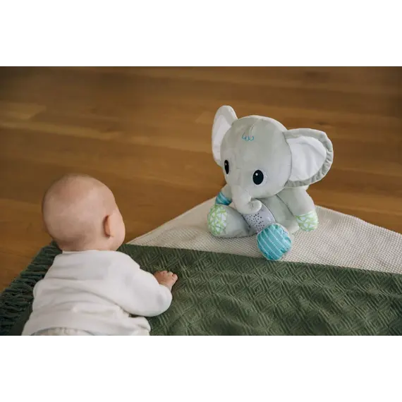 Loder Elefant më muzikë Free2P, 4 image