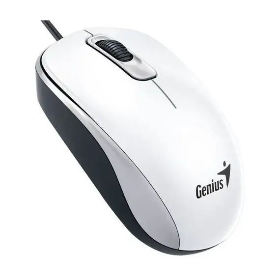 Maus GENIUS DX-110 USB Optical