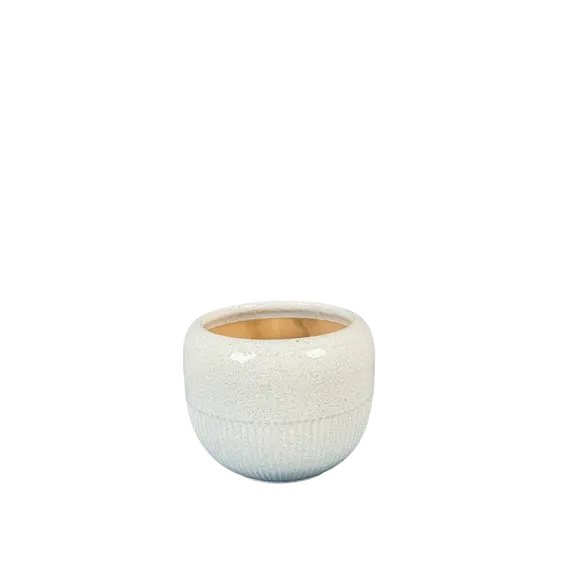 Vazo S HGH A2024017-2