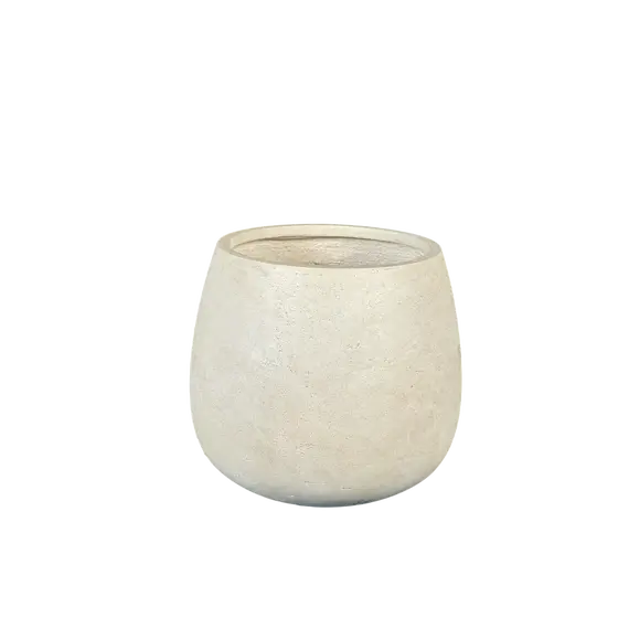 Vazo M RA81385-2