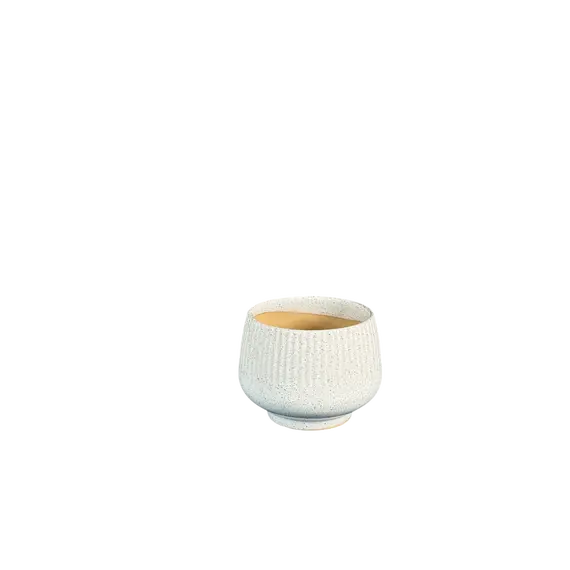 Vazo S HGHA2024010-3
