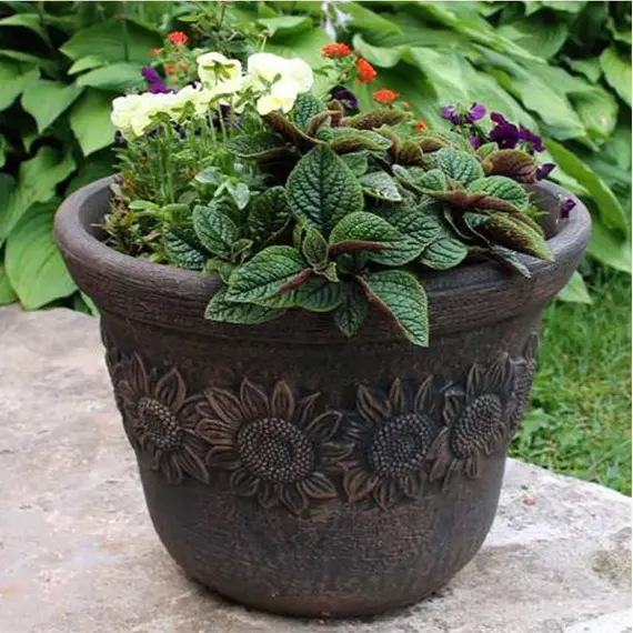 EDELWEISS ROUND M - Vazo 16154, 3 image