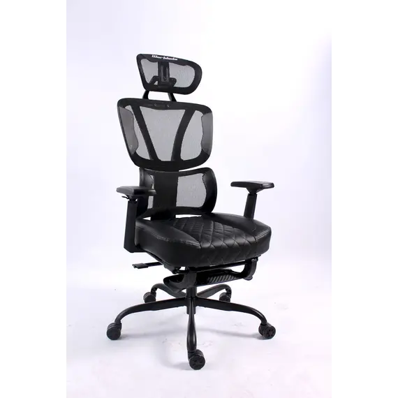 Karrige Zyre Gosmart 6011,Zeze 2