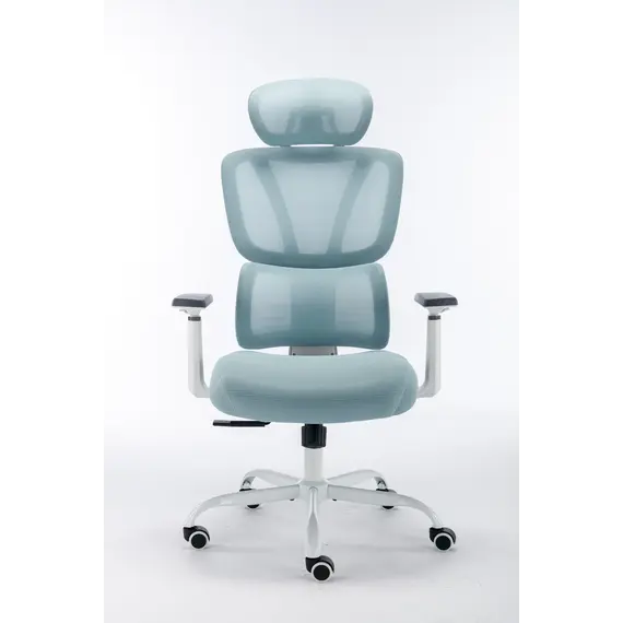 Karrige Zyre Gosmart 6007, kaltert