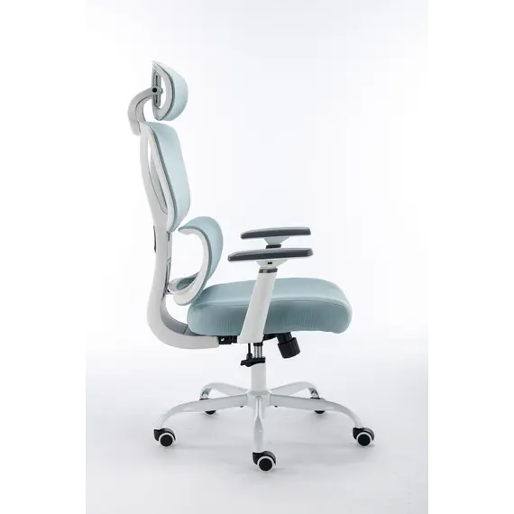 Karrige Zyre Gosmart 6007, kaltert 3