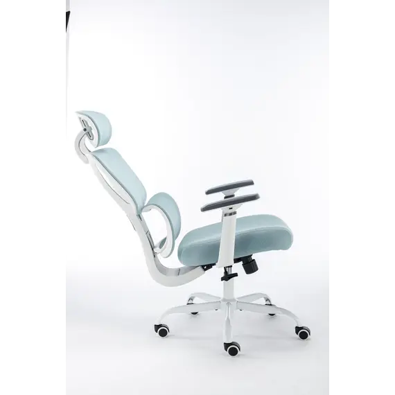 Karrige Zyre Gosmart 6007, kaltert 5