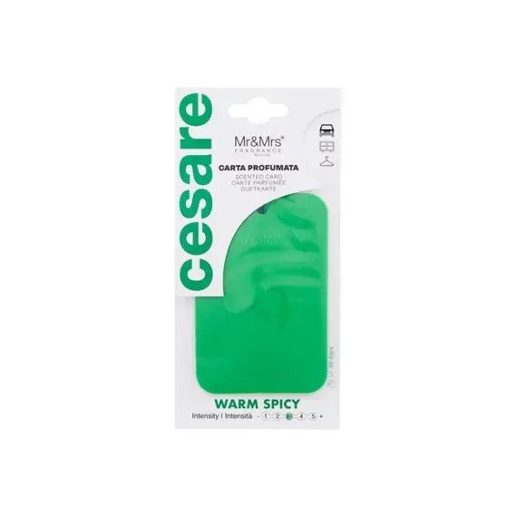 Mr&Mrs Cesare Card Green