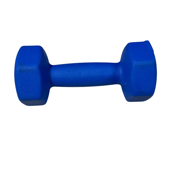 Pesha per duar Vinyl 5kg, 1x5kg cope, GoFit, 2 image