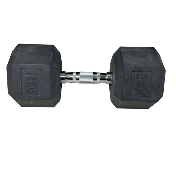 Pesha per duar Hex, 20kg , 1x20kg cope,GoFit, 2 image