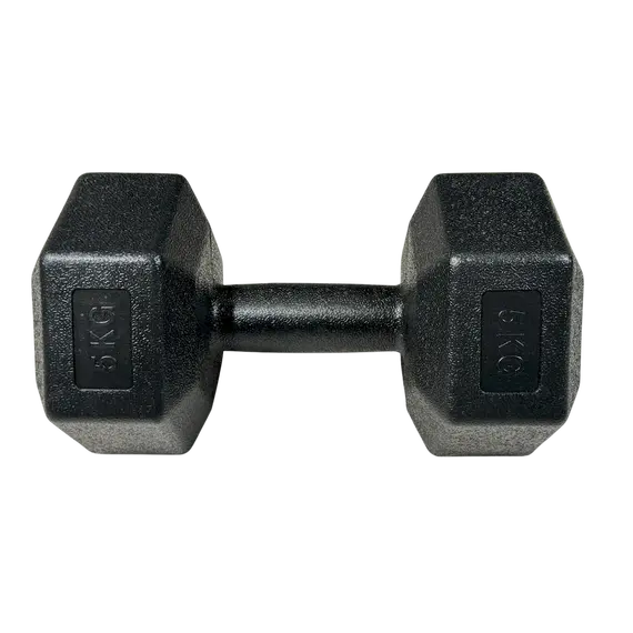 Pesha per duar hexagonal 5kg, 1x5kg cope, GoFit, 2 image