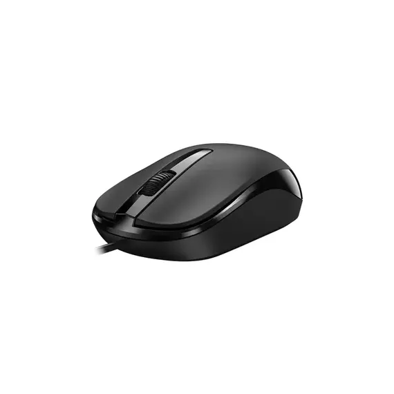 Maus GENIUS DX-120 USB -C Optical, zezë