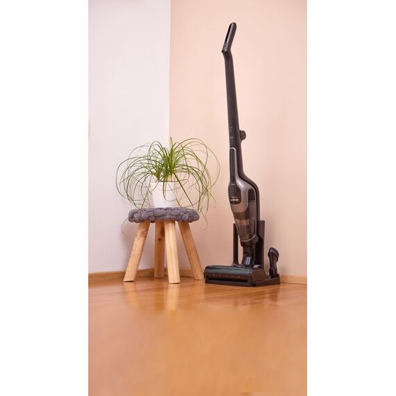 Fshese Stick Gorenje SVC216110FSIIBKA, 11 image