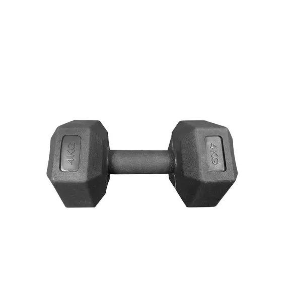 Pesha per duar, 1x4Kg, GoFit