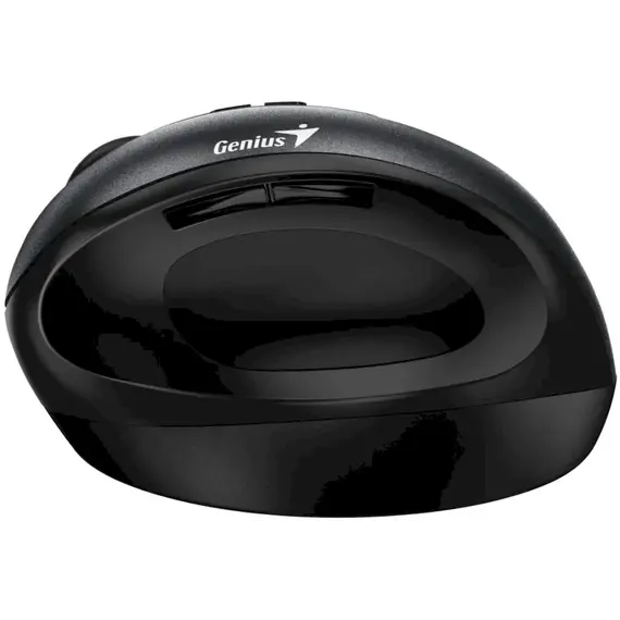 Maus Genius Ergo Wireless USB 8300S, zeze, 3 image