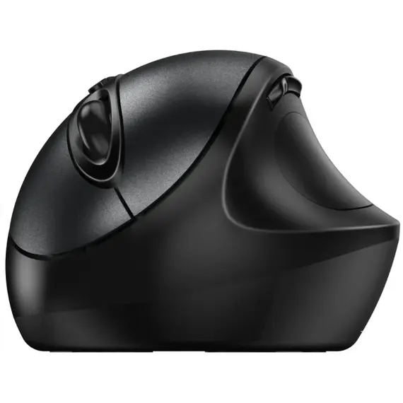 Maus Genius Ergo Wireless USB 8300S, zeze, 4 image