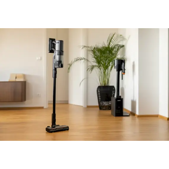Fshese Stick Gorenje SVC296749NEBL, 29 image