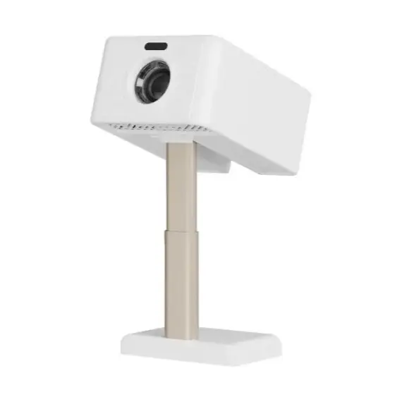 Projektor i vogel LCD TS-10 film ,muzike,