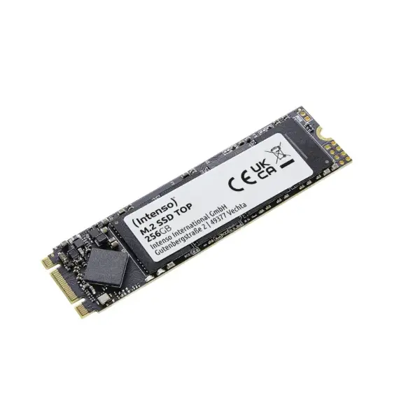 Disk i brendshem Intenso M.2 256GB SSD SATA3