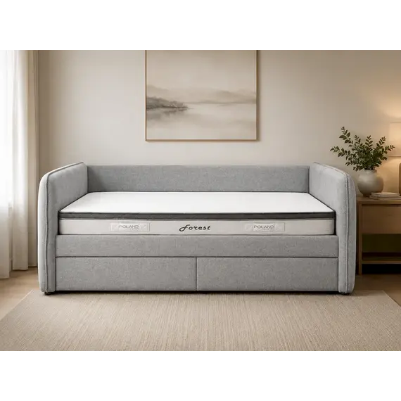 Shtrat 2SCF9382 K, 100x200cm, CF00401, hiri +Dyshek Forest 100x200 - Silver