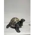 C4103 - Turtle