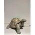 C4103 - Turtle, 2 image