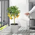 IKEA PS Kovë për ujitje 12 l, 3 image
