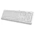 Tastiere A4Tech Fk10  Usb Us,  Bardhe 8